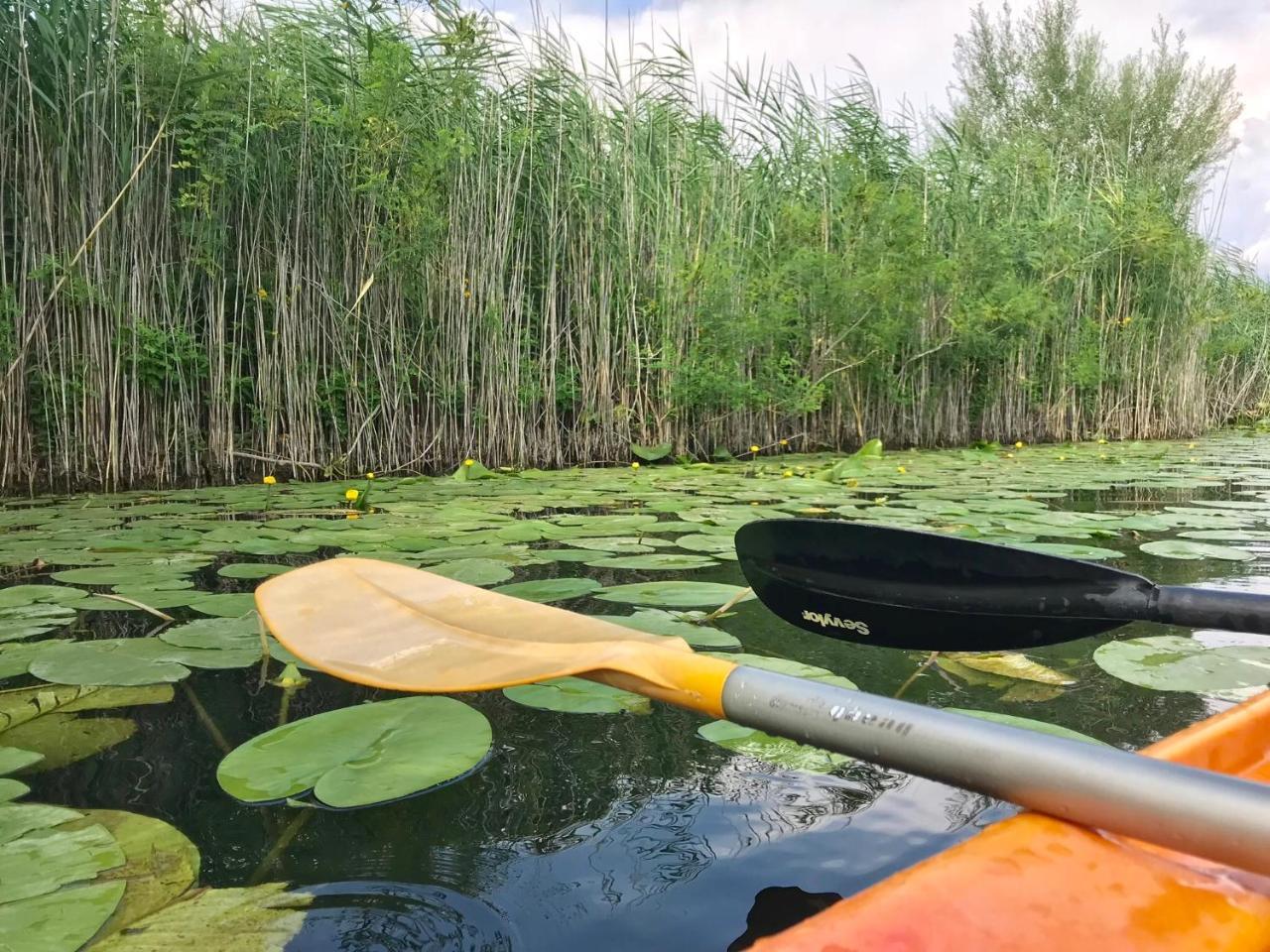 Skadar Lake Apartments Pajovic فيربازار المظهر الخارجي الصورة