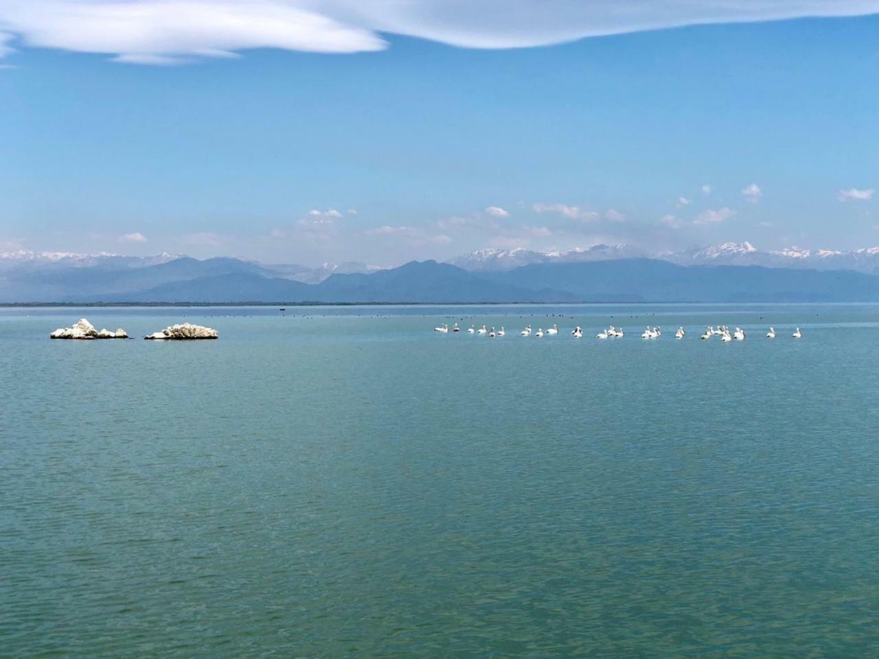 Skadar Lake Apartments Pajovic فيربازار المظهر الخارجي الصورة